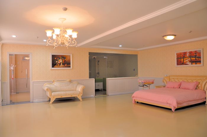 高級(jí)VIP產(chǎn)房